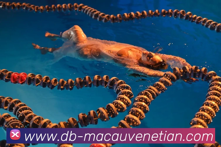 威尼斯人官网品牌故事