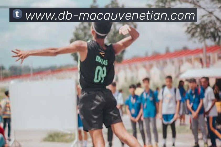 威尼斯人官网服务体系